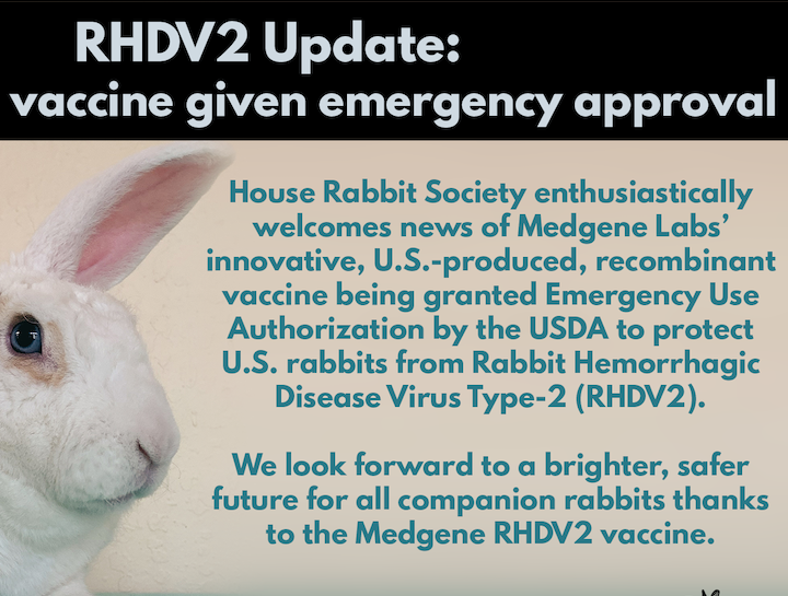 Rabbit Hemorrhagic Disease Vaccine